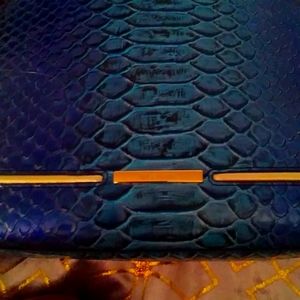 Blue   ateague hillary